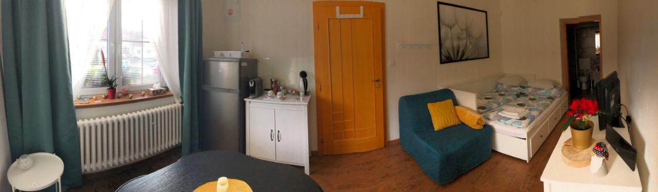 Appartement Ubytovani U Svobodu à Kroměříž Extérieur photo