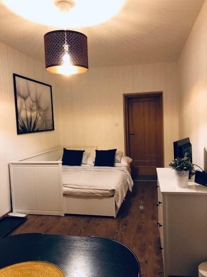 Appartement Ubytovani U Svobodu à Kroměříž Extérieur photo